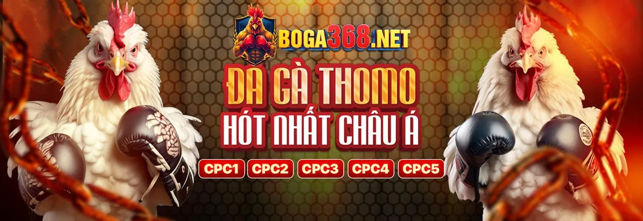 Hình ảnh chính cá cược thể thao kubet 11.net